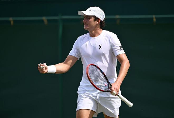 内容密度 内容密度